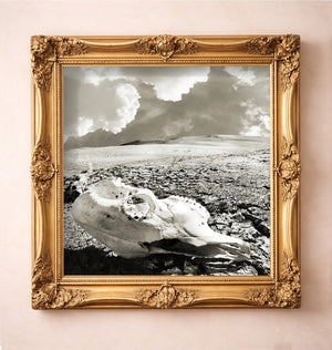 Desert Skull Black & White — art print by Betsy Crum in a gold frame