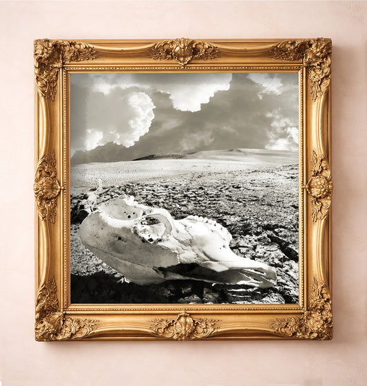 Desert Skull Black & White — art print by Betsy Crum in a gold frame